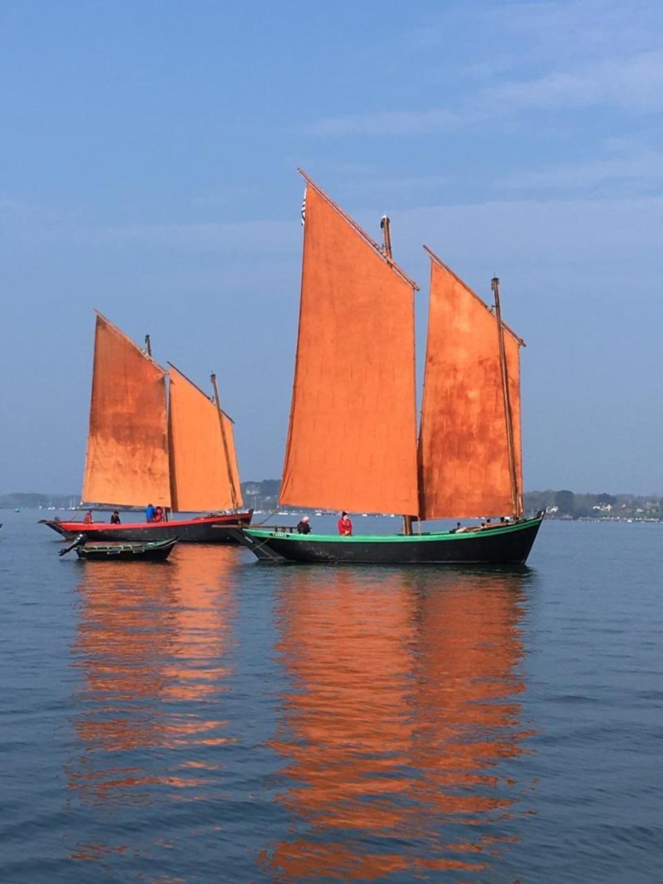 1 2 3 Chambres Entre La Presqu Ile De Rhuys Et Le Golfe Du Morbihan Theix Exteriér fotografie